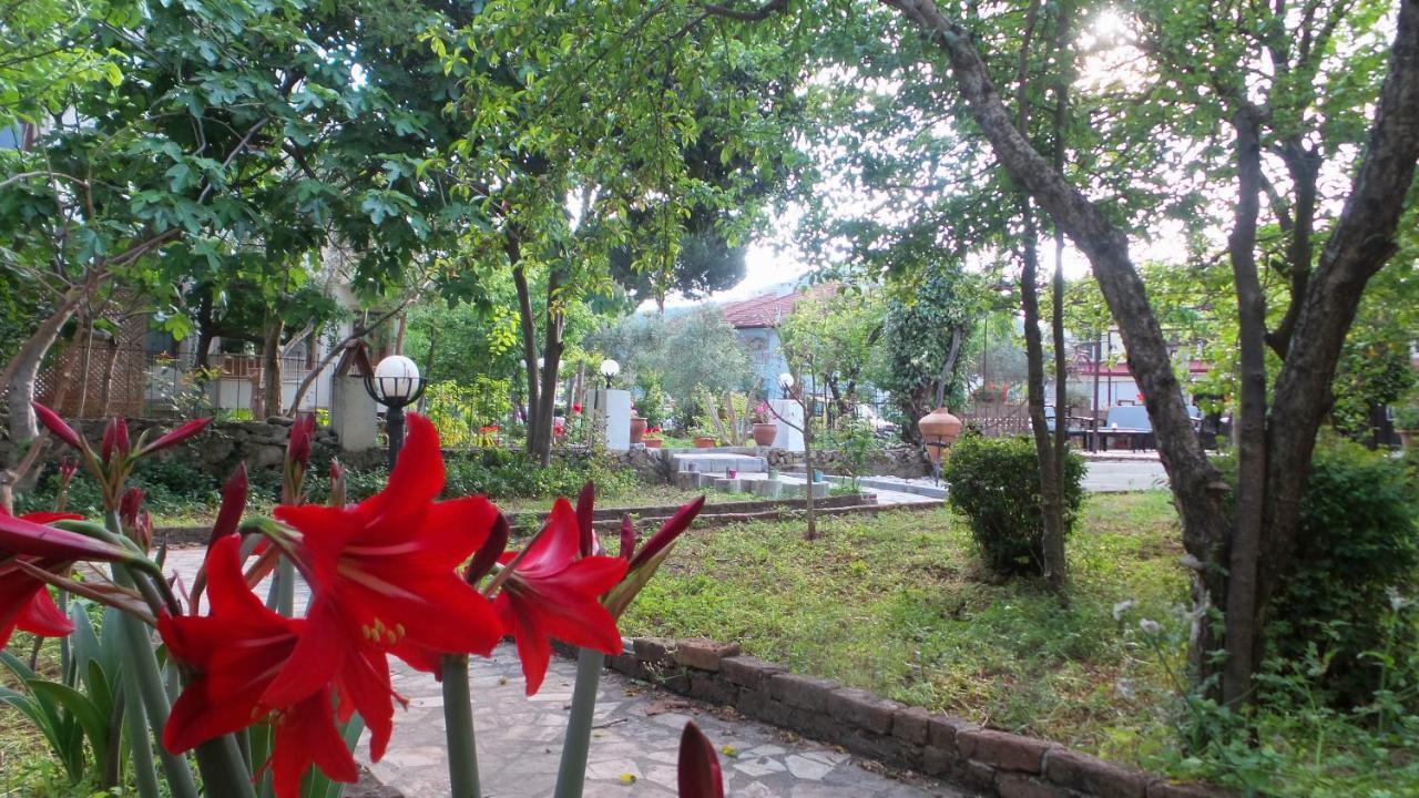 Native Hotel Оваччик Екстер'єр фото